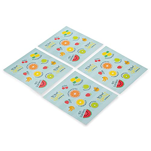 Colorful Fruits of The Spirit 4 x 5 Paper Children's Adhesive Sticker Set